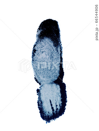 finger print identification biometrics ink 66544906