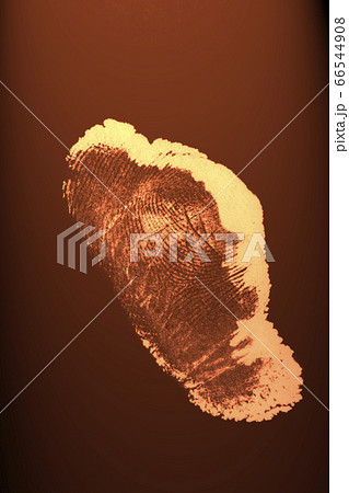 Finger print 66544908