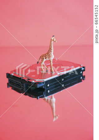 キリンとHDD 66545152