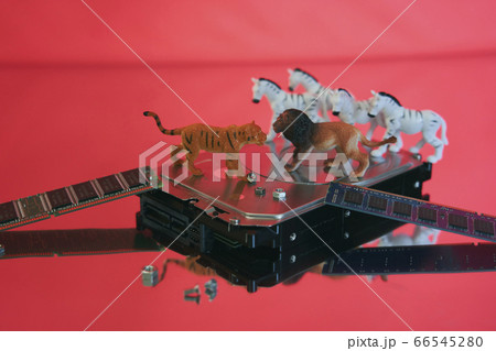 HDD in サファリ 66545280
