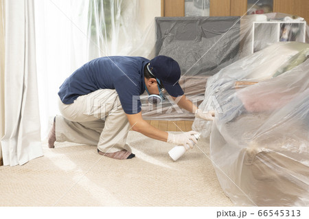 室内に殺虫剤を散布する害虫駆除の作業員 66545313