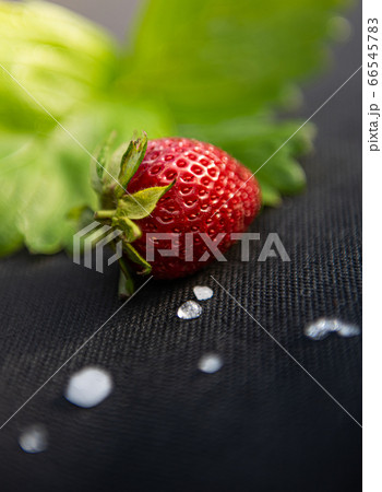 Close-up of strawberry with leaf and hailstones Close-up of strawberry with leaf and hailstones 66545783