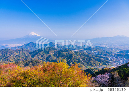 (静岡県)伊豆の国市・葛城山、山桜咲いた山々と富士山 (静岡県)伊豆の国市・葛城山、山桜咲いた山々と富士山 66546139