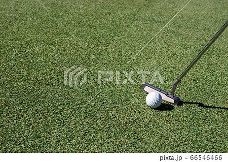 Close Up of Golf club and ball in grass. 66546466