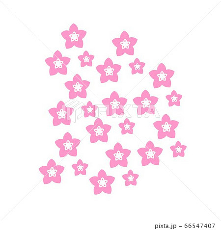 sakura pink cherry blossom wallpaper and vector 66547407