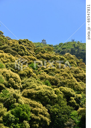 岐阜城と5月の風景 岐阜城と5月の風景 66547831
