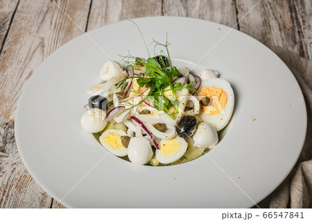 Close-up Mediterranean food. Salad with squid Close-up Mediterranean food. Salad with squid 66547841
