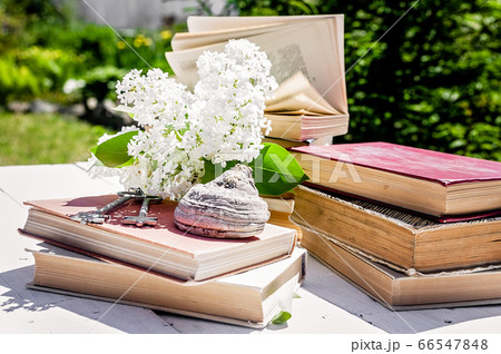 Old books and a branch of white lilac on a wooden Old books and a branch of white lilac on a wooden 66547848