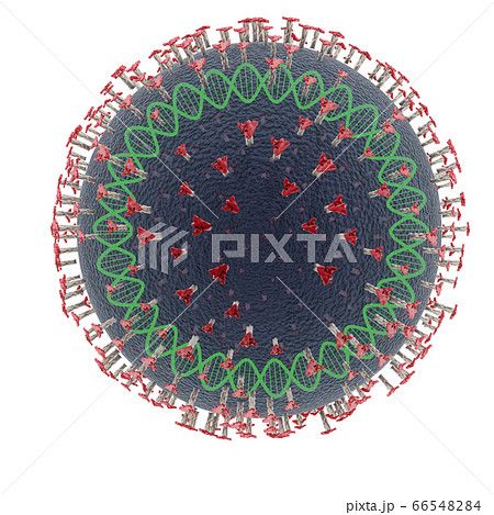 アニメ化された 図解 図示 66548284