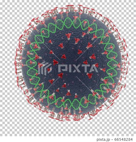 アニメ化された 図解 図示 66548284