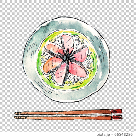 魚のお茶漬けのイラスト 魚のお茶漬けのイラスト 66548286