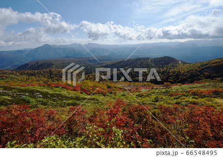 銀泉台の紅葉（北海道・上川町・大雪山系） 66548495