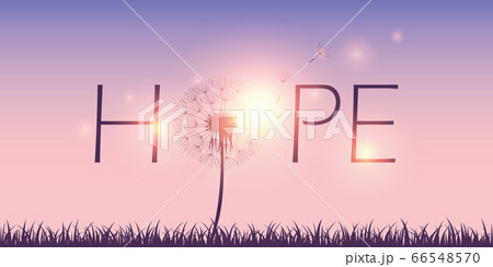 hope typography with dandelion on sky background 66548570
