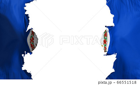 Blasted Virginia state flag 66551518