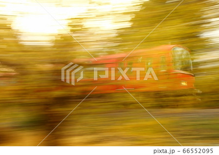 イチョウの木の間を駆け抜ける名鉄電車 イチョウの木の間を駆け抜ける名鉄電車 66552095
