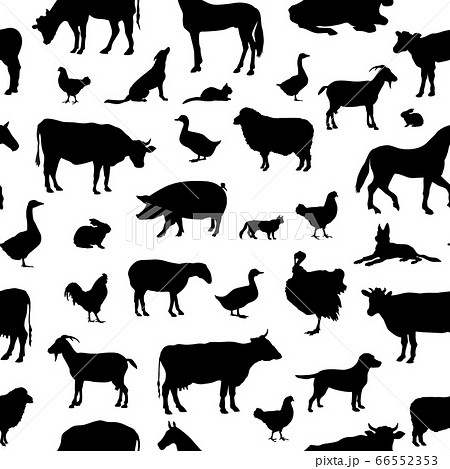 Livestock seamless pattern. Farm animals background Livestock seamless pattern. Farm animals background 66552353