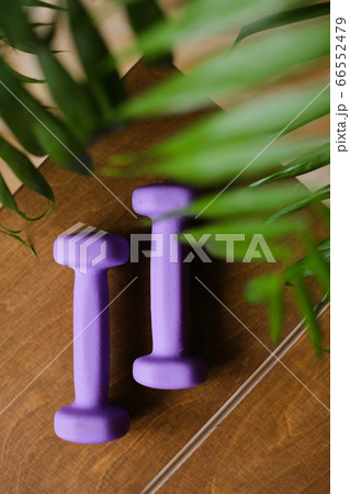 Light weight dumbbells lying on wooden table. 66552479