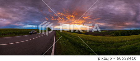 Spring sunset rapeseed yellow blooming fields and 66553410