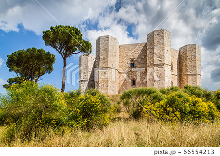 Beautiful view of Castel del Monte, Apulia, Italy 66554213