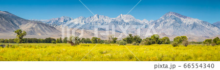 Eastern Sierra Nevada mountains in summer, Bishop, California, USA 66554340