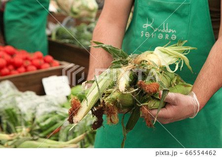Grocery staff holding corns in hygienic masks 66554462
