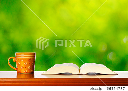 読書と緑背景 66554787