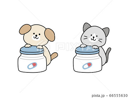 犬・猫 サプリメント・薬(ボトル・カプセル) 犬・猫 サプリメント・薬(ボトル・カプセル) 66555630