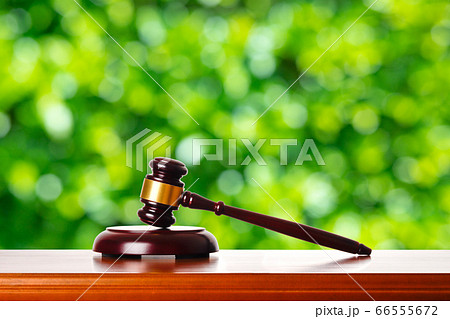 ガベルと緑背景 ガベルと緑背景 66555672