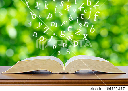 アルファベットと本 66555857