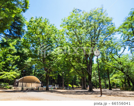 東京　井の頭公園　野外ステージ 66556041
