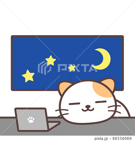 白猫【残業で帰れない】 白猫【残業で帰れない】 66556069