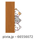 3匹の猫【何してるの？】 66556072
