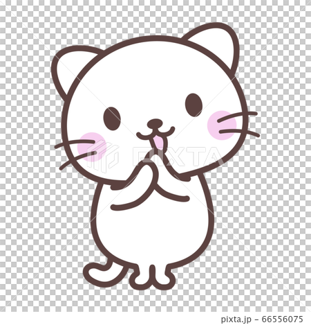 白貓[歡喜] 66556075