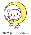 白猫【月にぶら下がる】 66556076