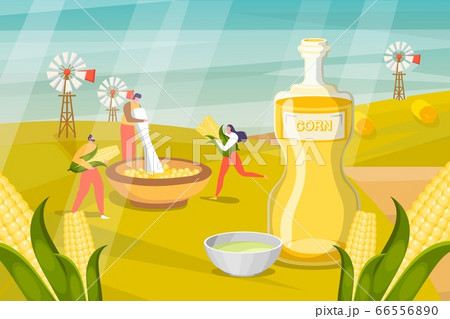 Herbal cosmetic vector illustration. People collect product in container. Man processes plants to make lotions and masks for skin 66556890