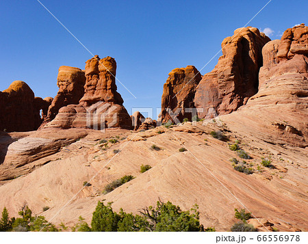 アーチーズ アーチーズ 66556978