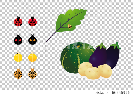 Caterpillar and vegetables 66556996