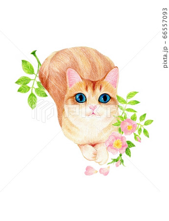 猫 イラスト 花のイラスト素材 猫 イラスト 花のイラスト素材