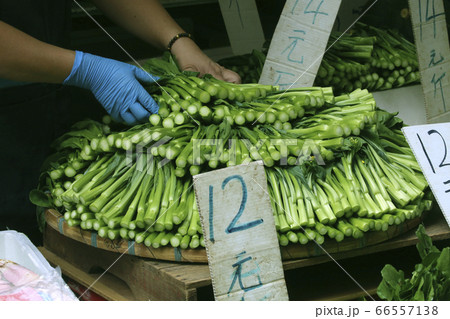 香港の市場で売られるカイラン(菜心)。最もポピュラーで香港人が好きな野菜 香港の市場で売られるカイラン(菜心)。最もポピュラーで香港人が好きな野菜 66557138