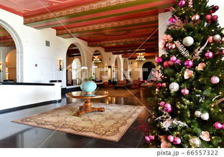 ハワイの休日 66557322