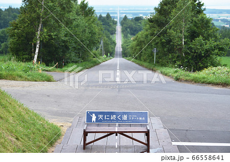 天に続く道(北海道・知床) 天に続く道(北海道・知床) 66558641