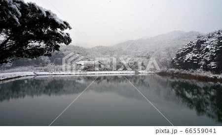 冬 雪景色 湖 66559041