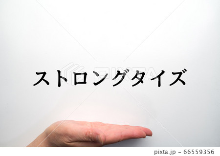 イメージ　ストロングタイズ 66559356