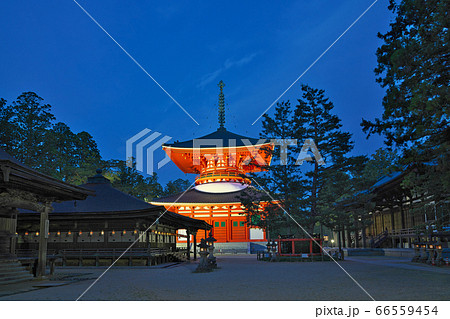 【高野山 壇上伽藍 根本大塔 (夜)】 和歌山県伊都郡高野町高野山 【高野山 壇上伽藍 根本大塔 (夜)】 和歌山県伊都郡高野町高野山 66559454