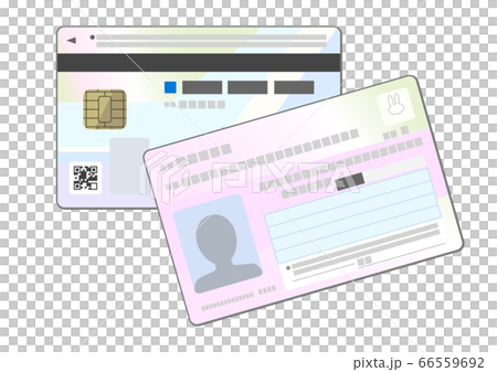 マイナンバーカード両面のイラスト 66559692