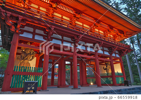 【高野山 壇上伽藍 中門 (夜)】 和歌山県伊都郡高野町高野山 【高野山 壇上伽藍 中門 (夜)】 和歌山県伊都郡高野町高野山 66559918