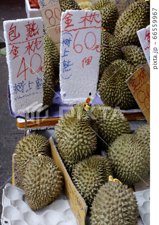 香港島の青果市場で売られるドリアン 66559967