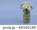 White daisy bouquet of  flowers in jar decor with sack on blue background. 66560180
