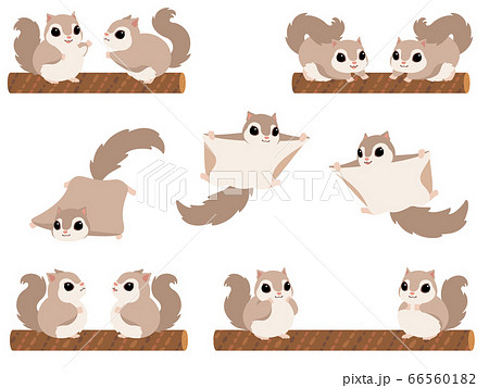 Momonga Illustration Set Stock Illustration