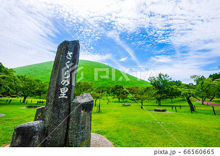 静岡県伊豆半島の大室山【６月】 66560665